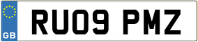 Truck License Plate